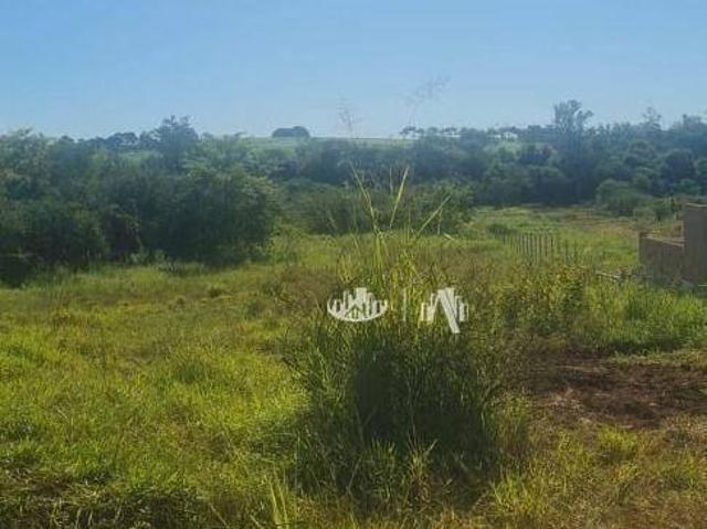 Chácara à venda, 4250 m² por R$ 450.000,00 Centro Jataizinho/PR