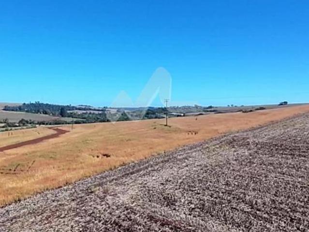 Chácara à venda, 63.920 m2 na Linha São Paulo, TOLEDO PR