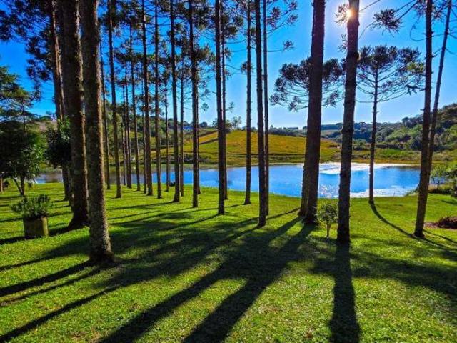 Chácara à Venda em São José dos Pinhais