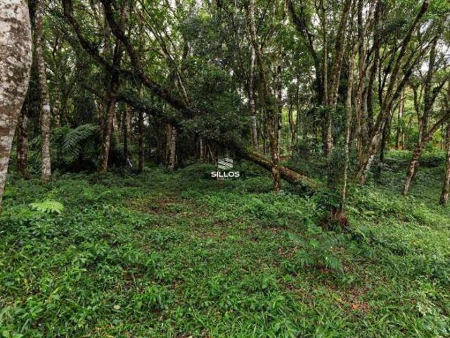 Chácara à venda com 5.216 m² e com casa de 170 m² em Quatro Barras/PR