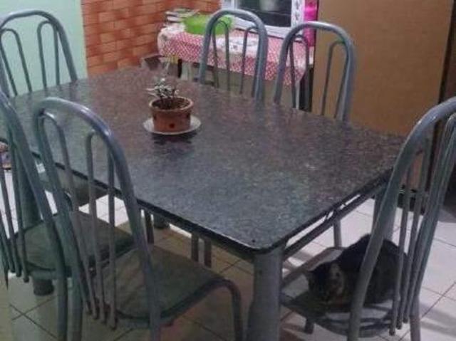 Chacara á venda Bairro Rio da várzea em Quitandinha PR