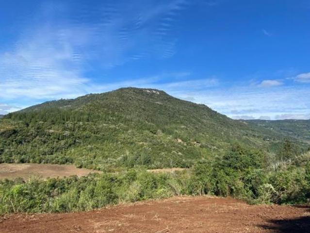 Chácara à venda em Caxias do Sul, Santa Lúcia do Piaí, 103471.89m²