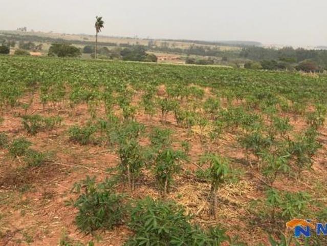 Chácara à venda em Cianorte Pr
