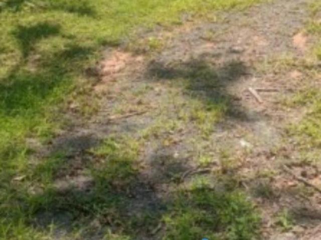 Chácara à venda em Antonina PR, bairro São Joãozinho Feliz: natureza exuberante e tranquilidade abso