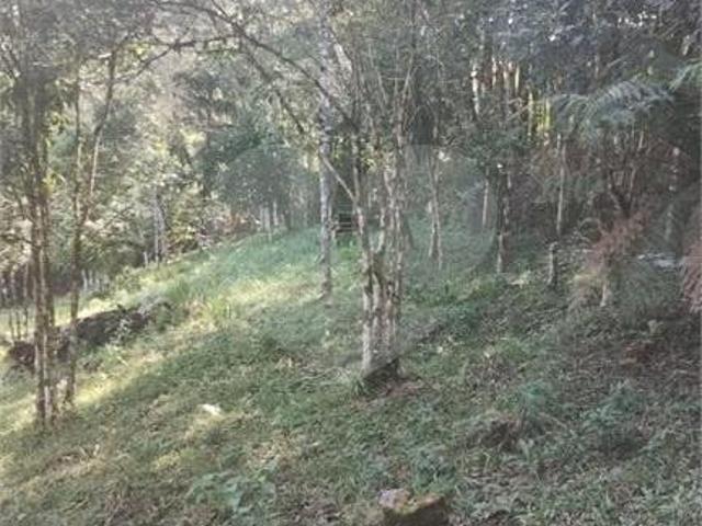Chácara à venda em Área industrial PR