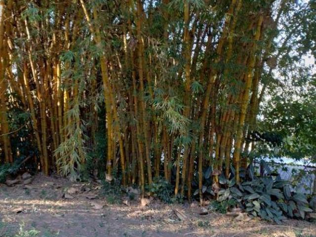 Chácara à venda em Barueri, Jardim Califórnia, com 1 quarto, com 1680 m²