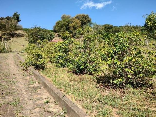 Chácara à venda em Bueno Brandão/MG, bairro Sitio São Padro: 100 m² de área!