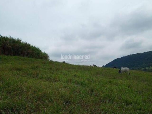 Chácara à Venda em Gleba 01, Tamarana PR