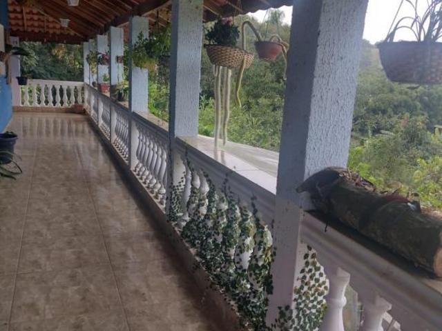 LANÇAMENTO – QUINTA DOS PINHAIS LOTES RURAIS À VENDA EM ITAPEVA/MG