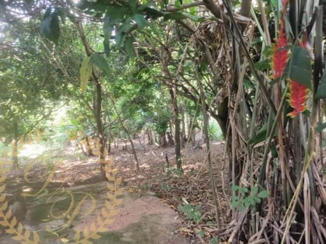 Chácara a venda em Jundiai, chácara a venda em Louveira, chácara rua asfaltada, chácara em meio a na