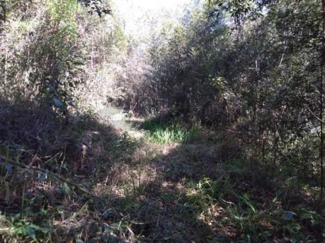 Chácara à venda em São Lourenço da Serra  Chácara em São Lourenço/SP