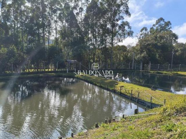 CHACARA A VENDA EM SENADOR AMARAL MG COM 30.000 M TANQUE NASCENTE