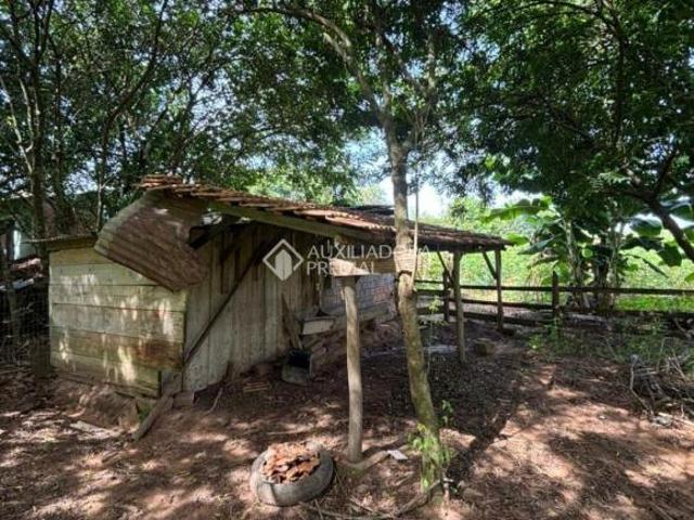 Chácara à venda em Porto Palmeira, Araricá