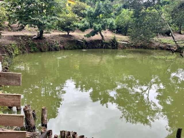 Chácara à Venda em Pedra Bela SP com Escritura!
