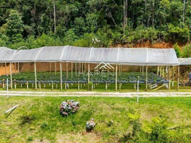 Chácara a venda em Quatro Barras