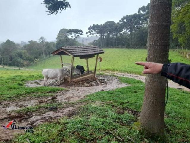 Chácara á venda em Quitandinha PR