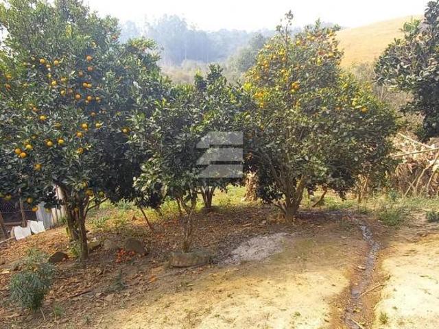 Chácara à Venda em Quitandinha PR