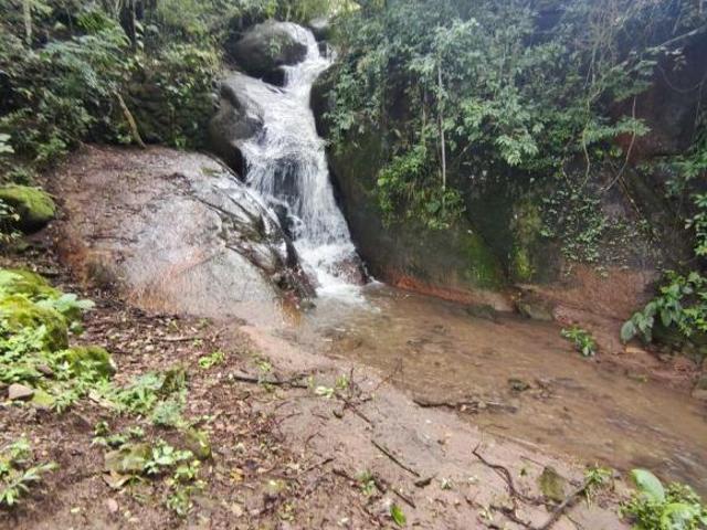 CHÁCARA À VENDA EM TOLEDO MG COM ESCRITURA