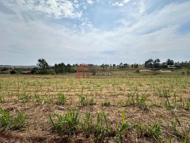 Chácara à venda em Umuarama PR, bairro Estrada Jaborandi, com 20.000m² de área!
