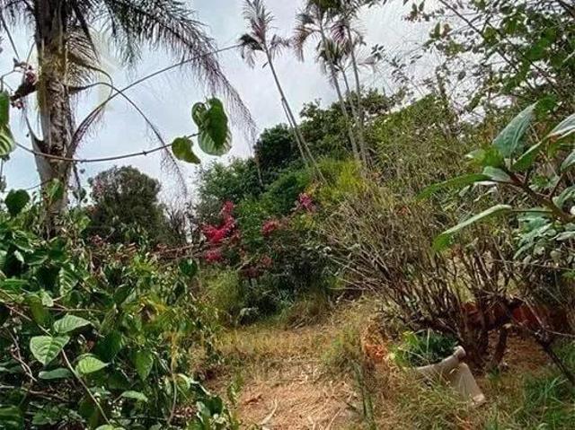 Chácara à venda, Jardim blanco, Olímpia/SP