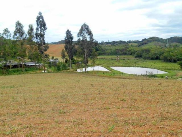 Chácara à venda ou locação, 120.000 m² Areia Branca dos Assis Mandirituba/