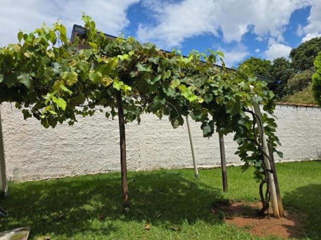 Chácara à venda no chácaras São Bento em Valinhos SP