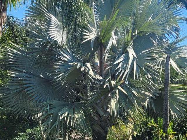 Chácara à Venda no Alpes das Águas – São Pedro/SP