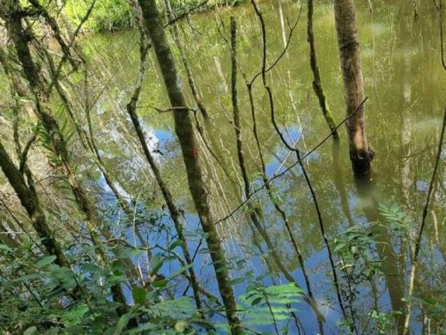 Chacara á venda no bairro Caizinho Quitandinha PR com luz agua da comunidade perto da BR