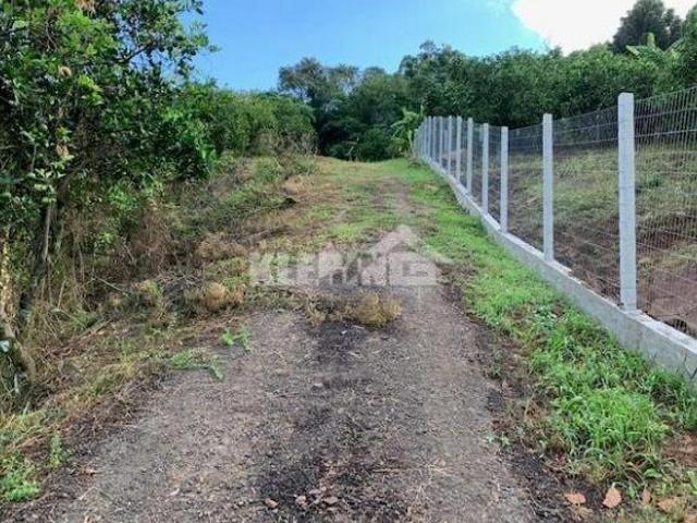 Chácara à venda no bairro Santa Teresinha Bom Princípio/RS