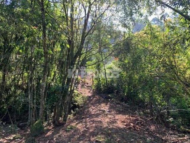 Chácara à venda no bairro Santa Teresinha Bom Princípio/RS