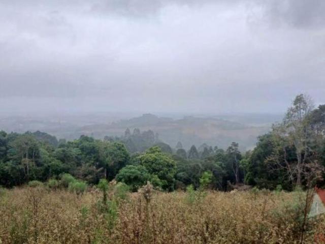 Chácara à Venda sem benfeitorias em Tijucas do Sul