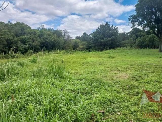 Chácara à Venda sem benfeitorias em Tijucas do Sul