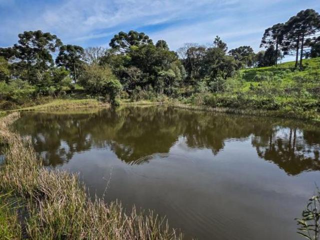 Chácara à Venda sem benfeitorias em São José dos Pinhais