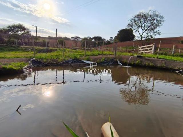 Chácara à Venda Toledo MG 8.622 m com Escritura, Tanque de peixes, Água de mina