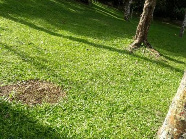 CHÁCARA ACONCHEGANTE COM LAGO E PISCINA EM JUQUITIBA/SP