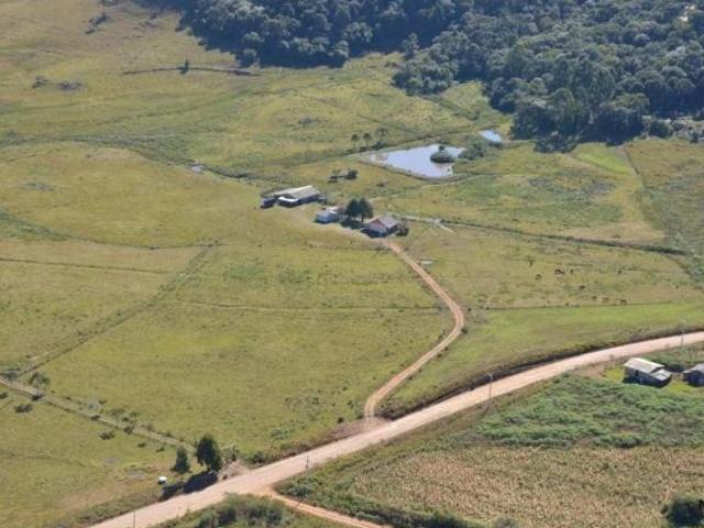 Chácara | Apanhador | São Francisco de Paula