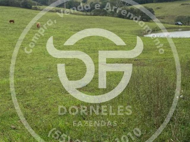 Chacara, Área Rural, Santiago, RS