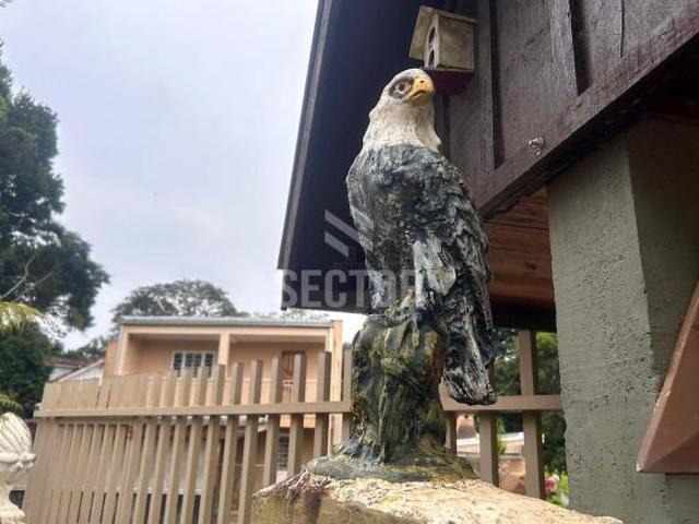 Chácara / Área Rural para Venda • 1.815 m² • Tijucas do Sul PR