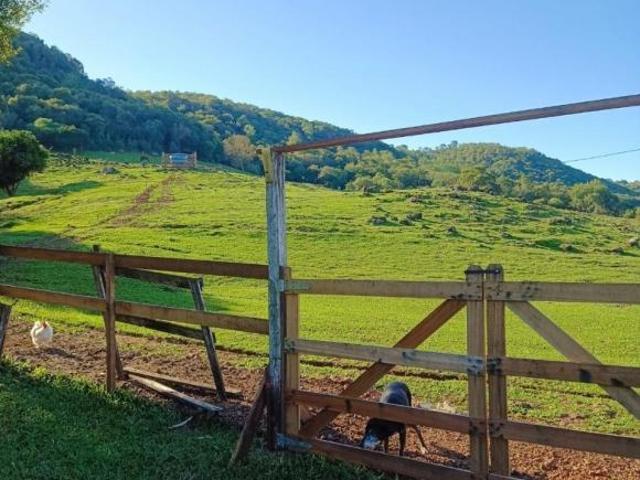 Chacara, Buriti, Santiago, RS