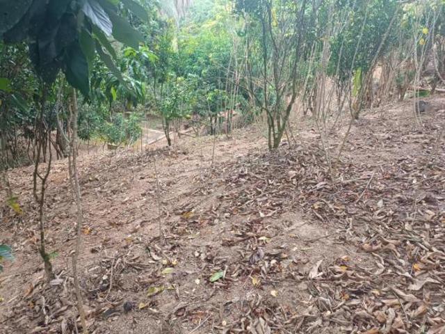 CHÁCARA BV MOEDA CHBV03 000 m2 COM RIACHO