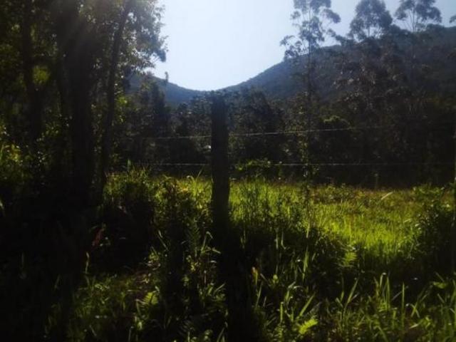 Chácara Bairro Chimarrão