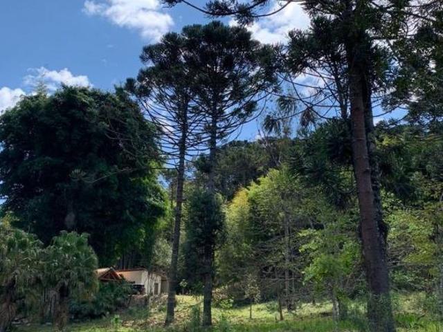 Chacara, Bairro do Morro, Camanducaia, MG