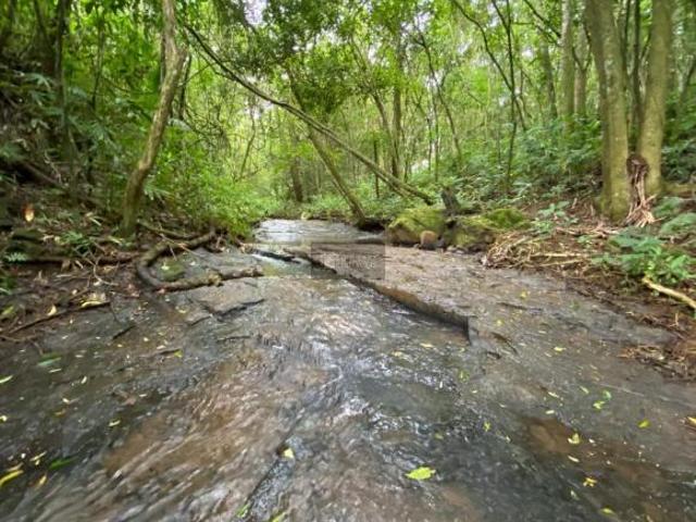 Chácara Bairro Solidão