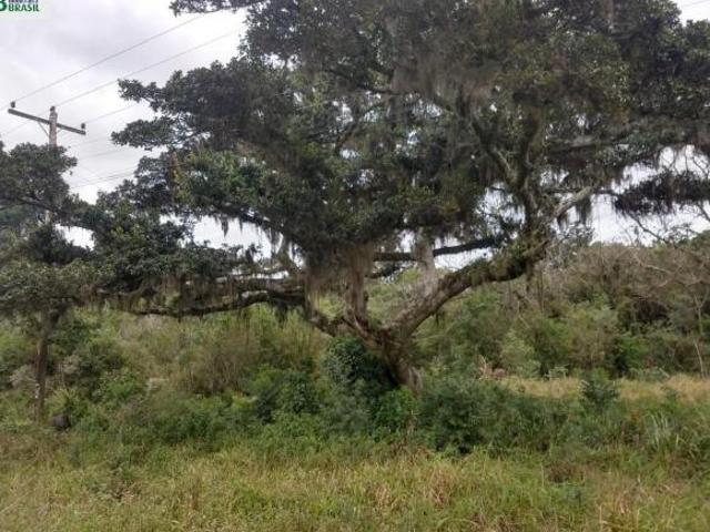 Chacara, Br116, Sentinela do Sul, RS