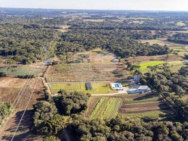 Chácara Campina do Miringuava São José dos Pinhais/PR 3 Dormitórios 2 Suítes 8 Vagas Alto Padrão
