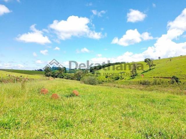 Chacara, Cocal E Figueira, Alterosa, MG