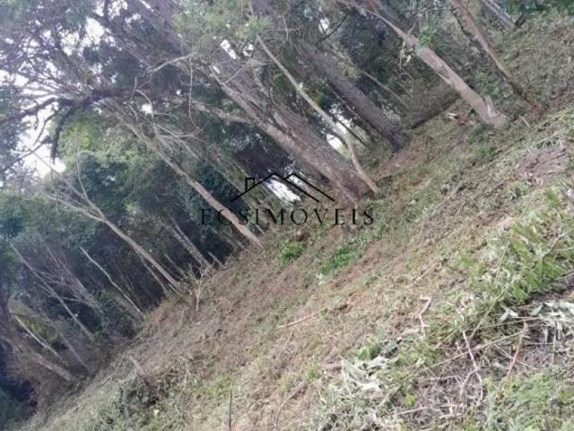 Chácara Mandirituba
