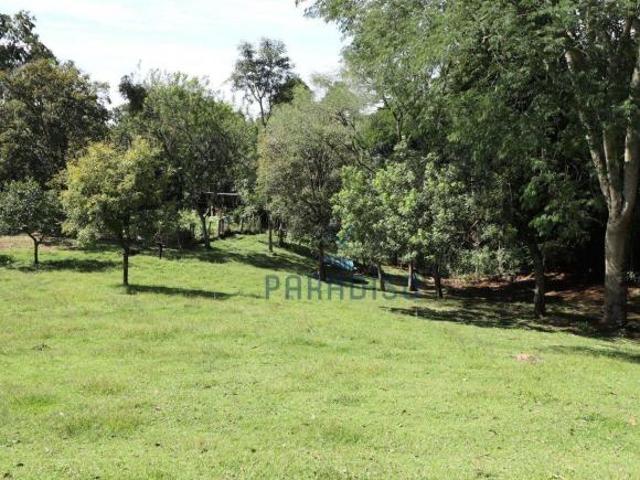 Chácara com 4 dormitórios à venda, 12000 m² por R$ 4.100.000,00 Santa Felicidade Curitiba/PR