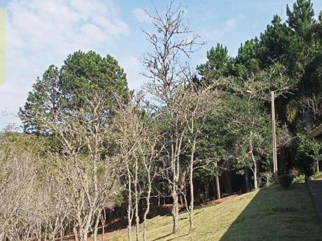 Chácara com 4 dormitórios à venda, 6968 m² por R$ 610.000,00 Zona Rural Piedade/SP