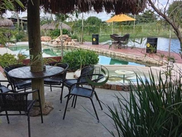 Chácara com 4 dormitórios à venda, 8000 m² por R$ 1.560.000,00 Piracambaia I Campinas/SP